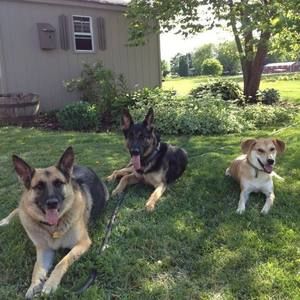 Meet your Posher, Amanda